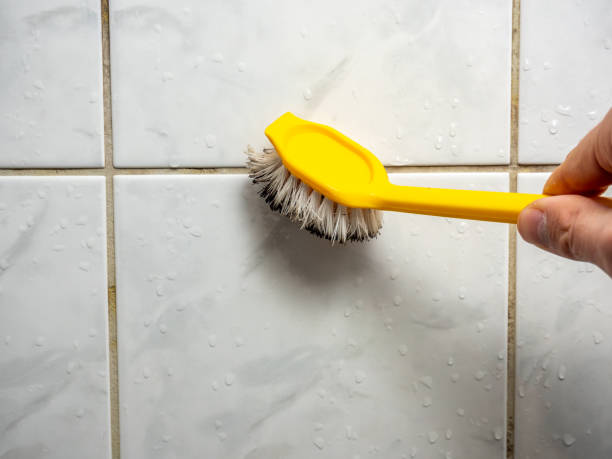 Best Insurance-Related Mold Remediation in Sherwood, WI