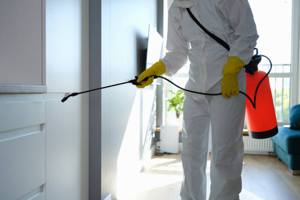 Best Mold Testing and Inspection Services in Sherwood, WI