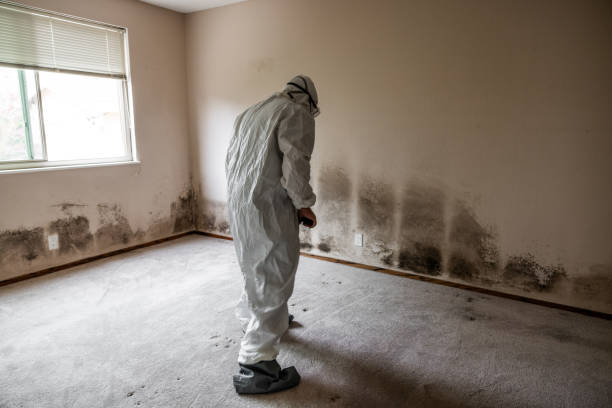 Sherwood, WI Mold Remediation Company